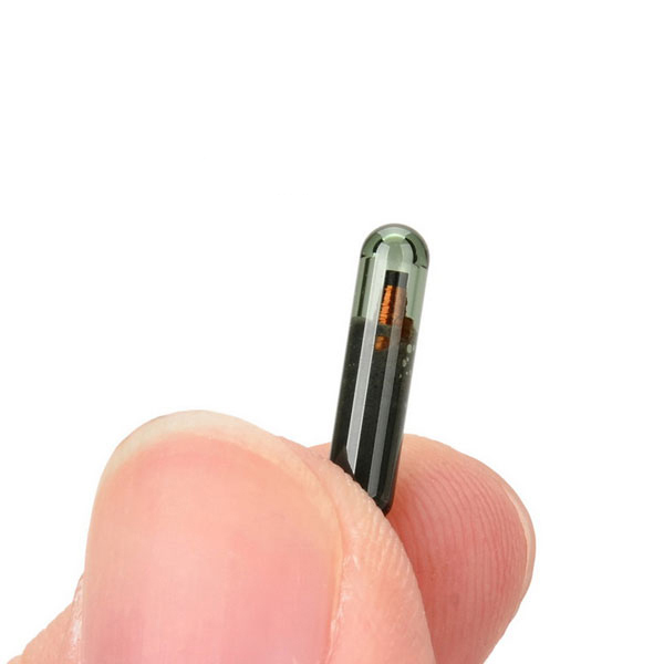 太阳成tyc7111cc官网