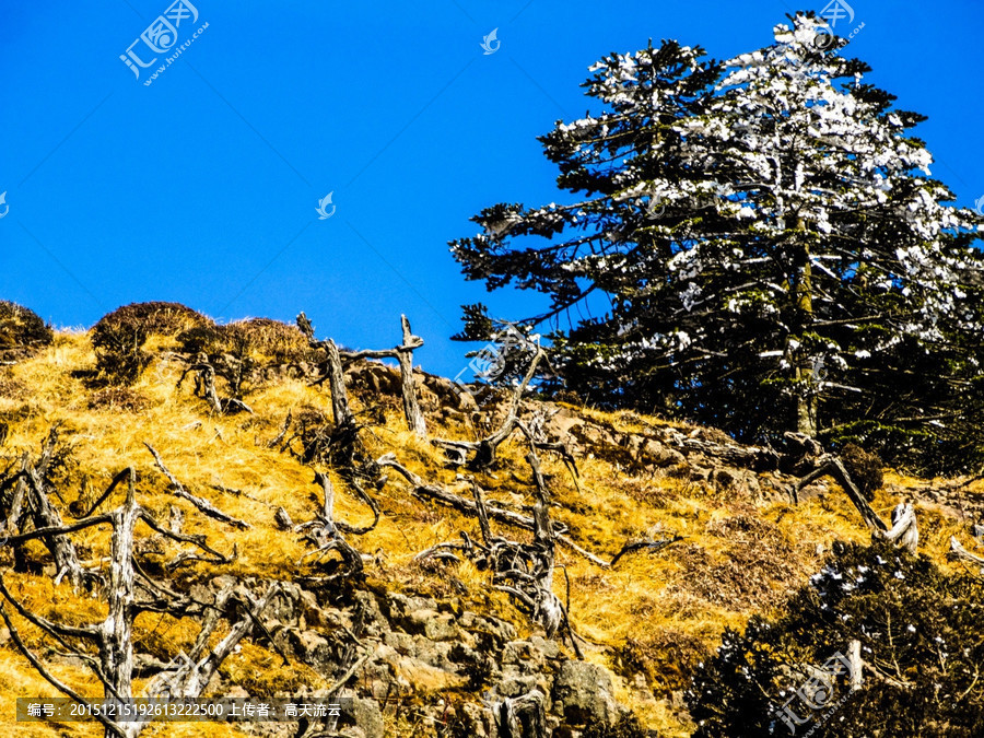 太阳成tyc7111cc官网|吴尊父女默契大考验 NeiNei观战世界杯难过落泪(图2) 太阳成tyc7111cc官网