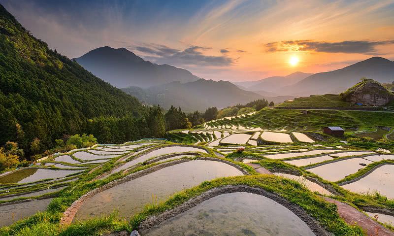 太阳成tyc7111cc官网