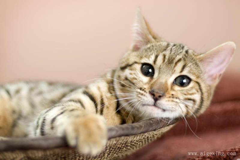 tyc7111cc太阳成集团