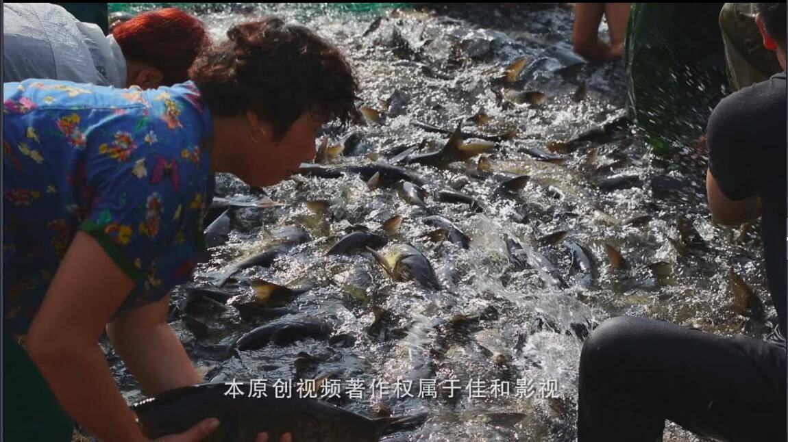 太阳成tyc7111cc官网