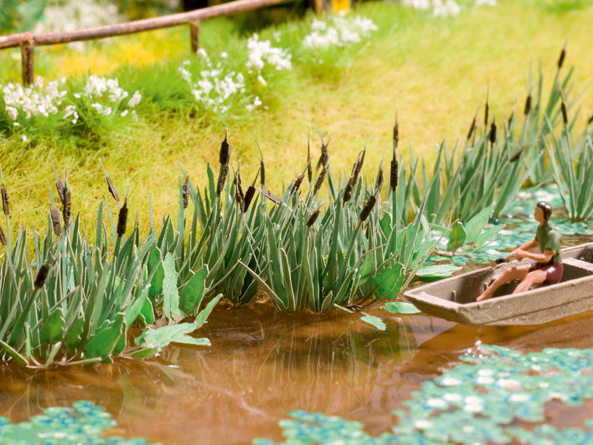 太阳成tyc7111cc官网