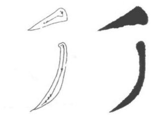 【太阳成tyc7111cc】书法入门:楷书基本笔画书写(图10)