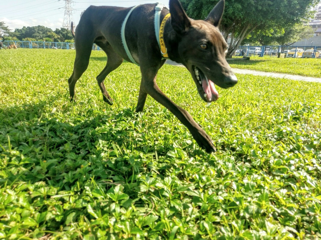 Xi舞蹈培训机构装饰色彩系统如何选择_太阳成tyc7111cc官网(图3) tyc7111cc太阳成集团