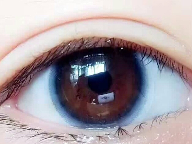 孩子写作业在什么时间点做高效-太阳成tyc7111cc官网(图2) tyc7111cc太阳成集团