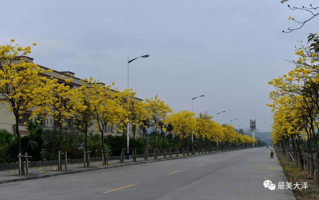 孩子写作业在什么时间点做高效-太阳成tyc7111cc官网(图1) 太阳成tyc7111cc官网