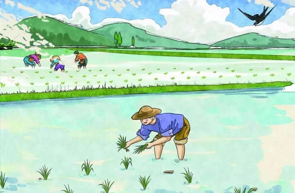 太阳成tyc7111cc官网