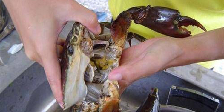 太阳成tyc7111cc官网