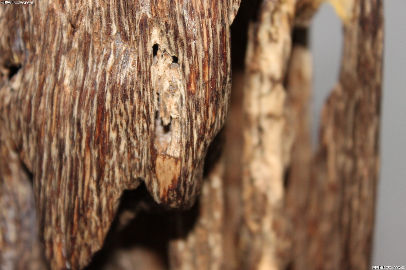 太阳成tyc7111cc官网