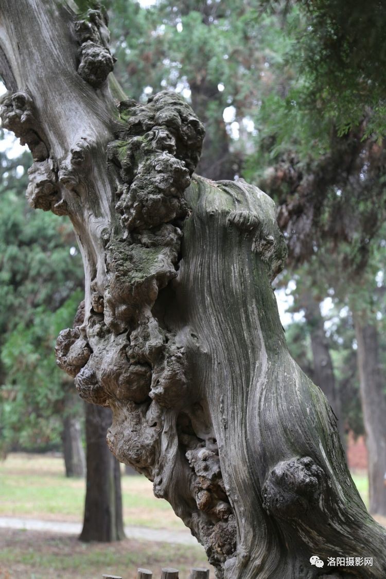 tyc7111cc太阳成集团